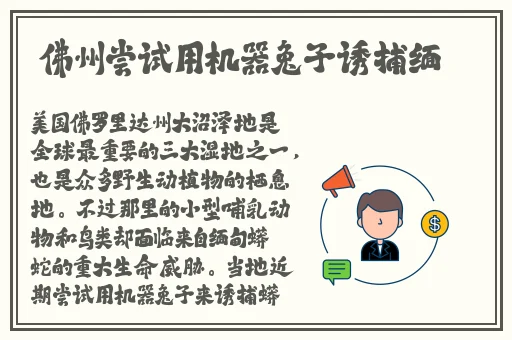 精东影视传媒文化管理公